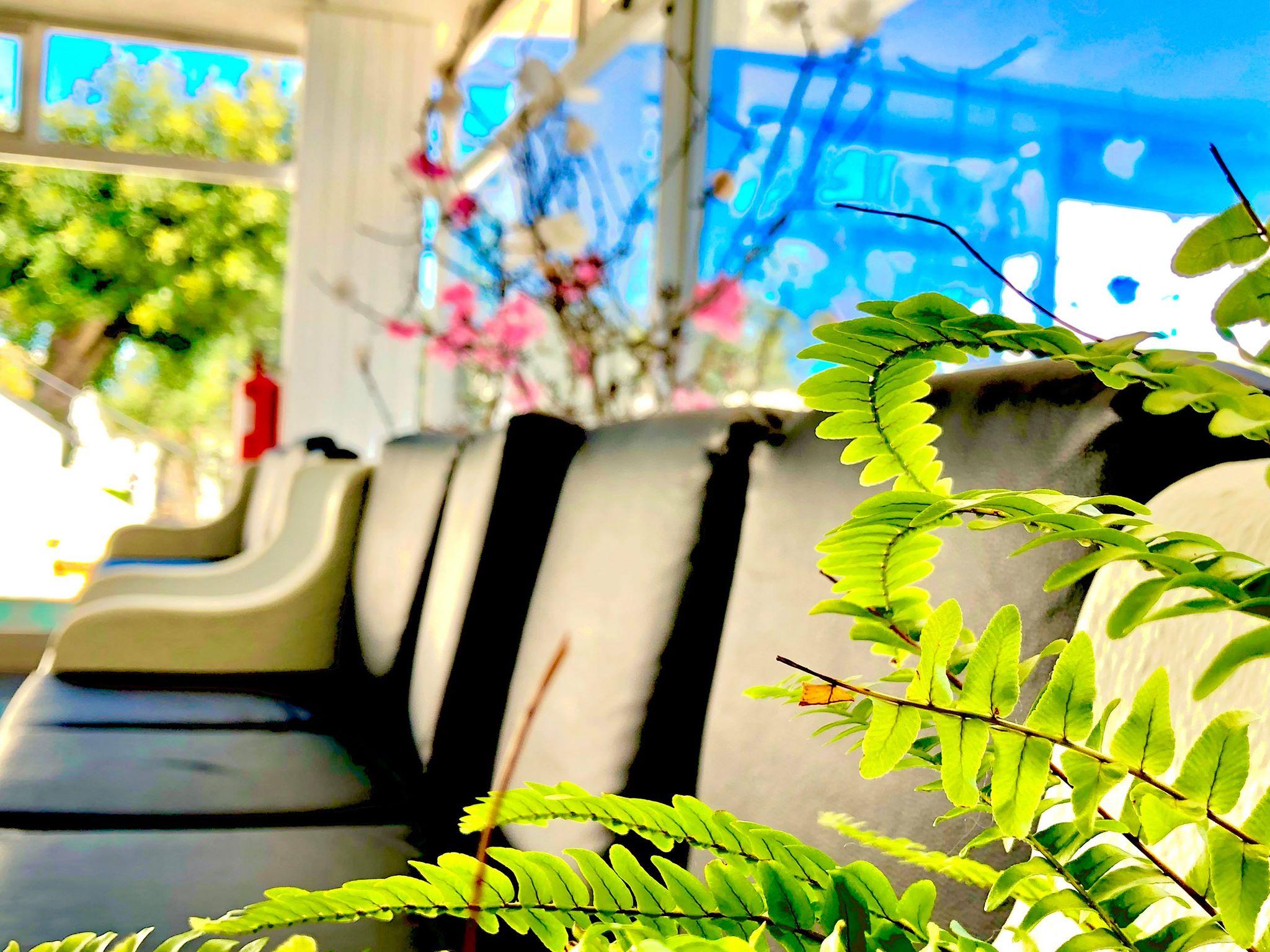 阿尔布费拉花园酒店 外观 照片